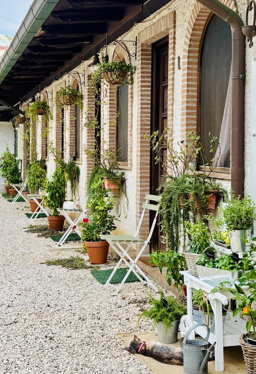 Affittacamere Country House